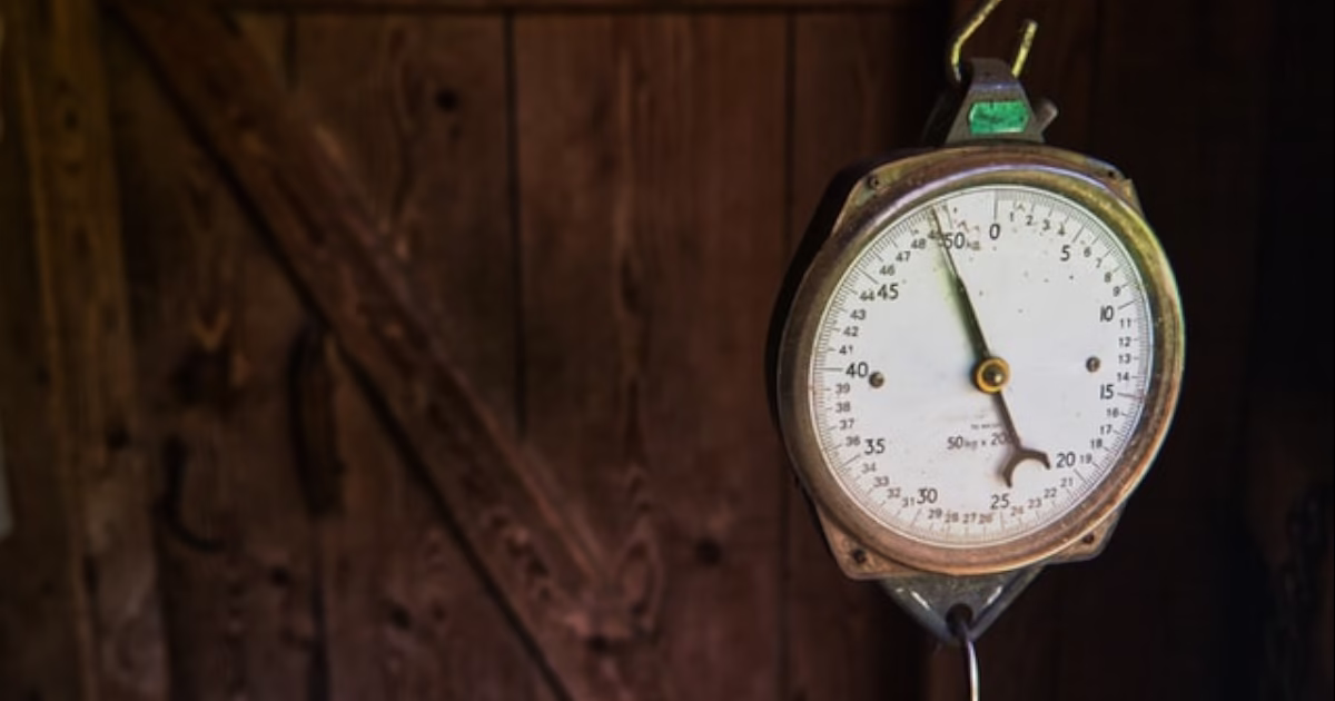 usuwanie szkodników