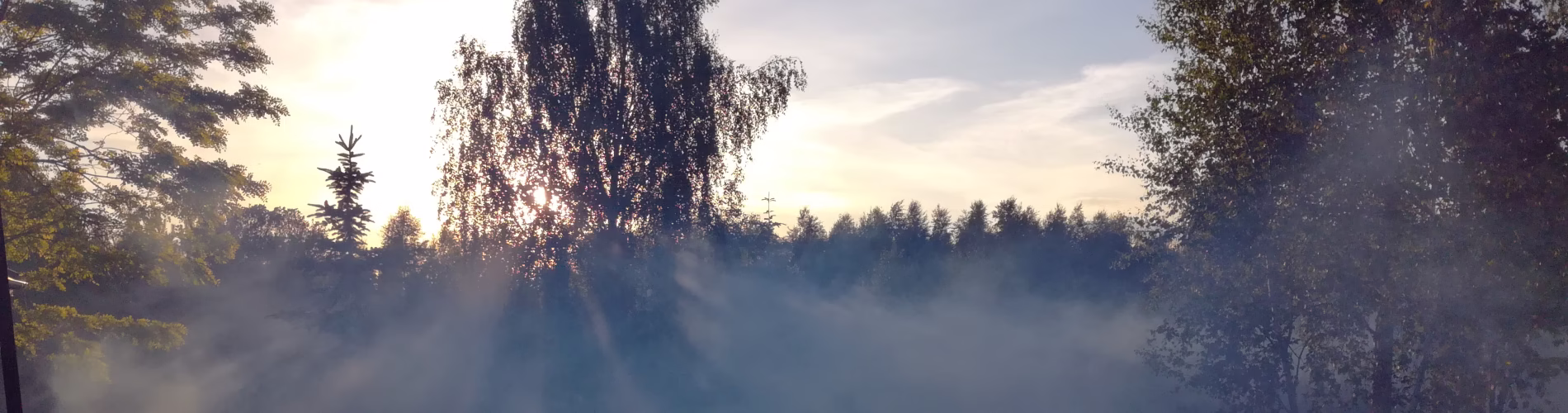 Odkomarzanie terenów zielonych