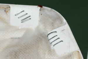 Pluskwa domowa w Rudzie Śląskiej – profesjonalne zwalczanie pluskiew