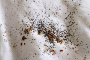 Pluskwy w łóżku – ślady obecności owadów w materacu zwaczanie pluskiew Sosnowiec 