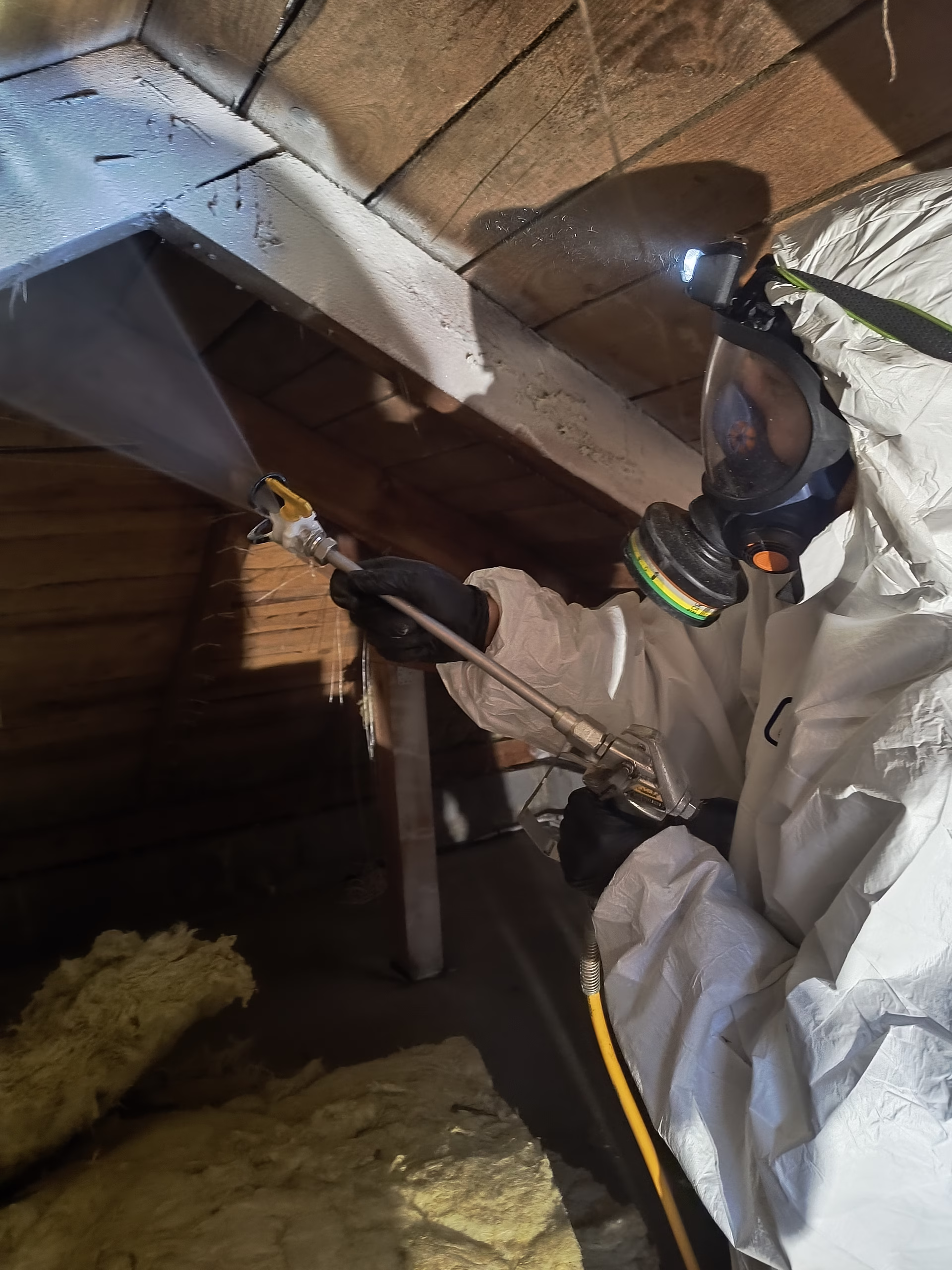 Zwalczanie korników w więźbie dachowej w Rybniku